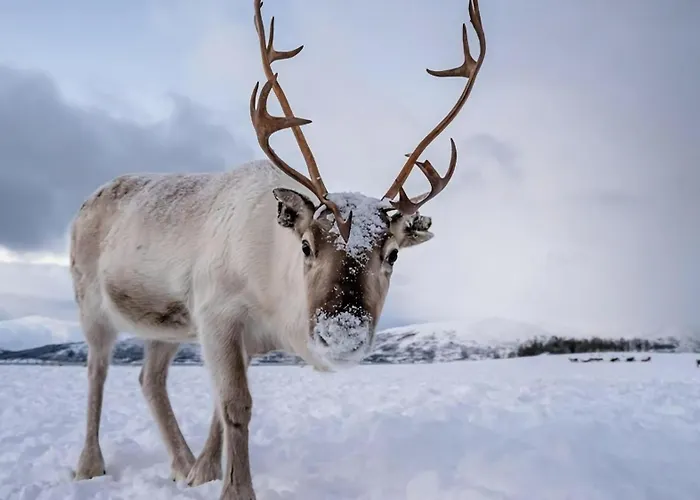 Floor I Sea View I 公寓 *