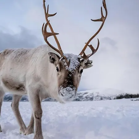 Floor I Sea View I Apartment *